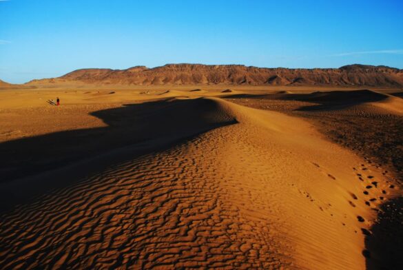 zagora morocco desert dunes zagora morocco desert dunes